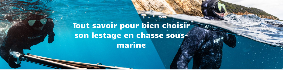 Tout savoir pour bien choisir son lestage en chasse sous-marine