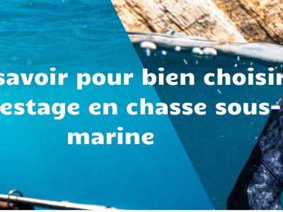 Tout savoir pour bien choisir son lestage en chasse sous-marine