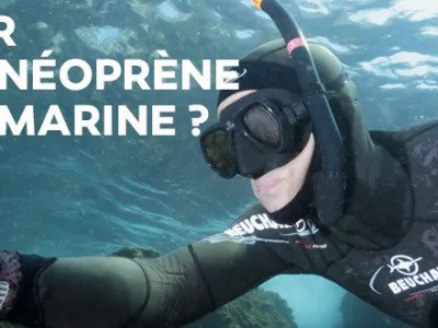 Comment bien choisir son arbalète/fusil de chasse sous-marine ?