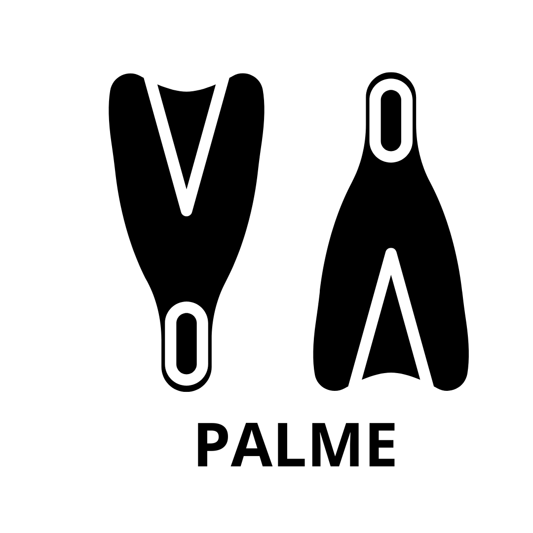 Palme