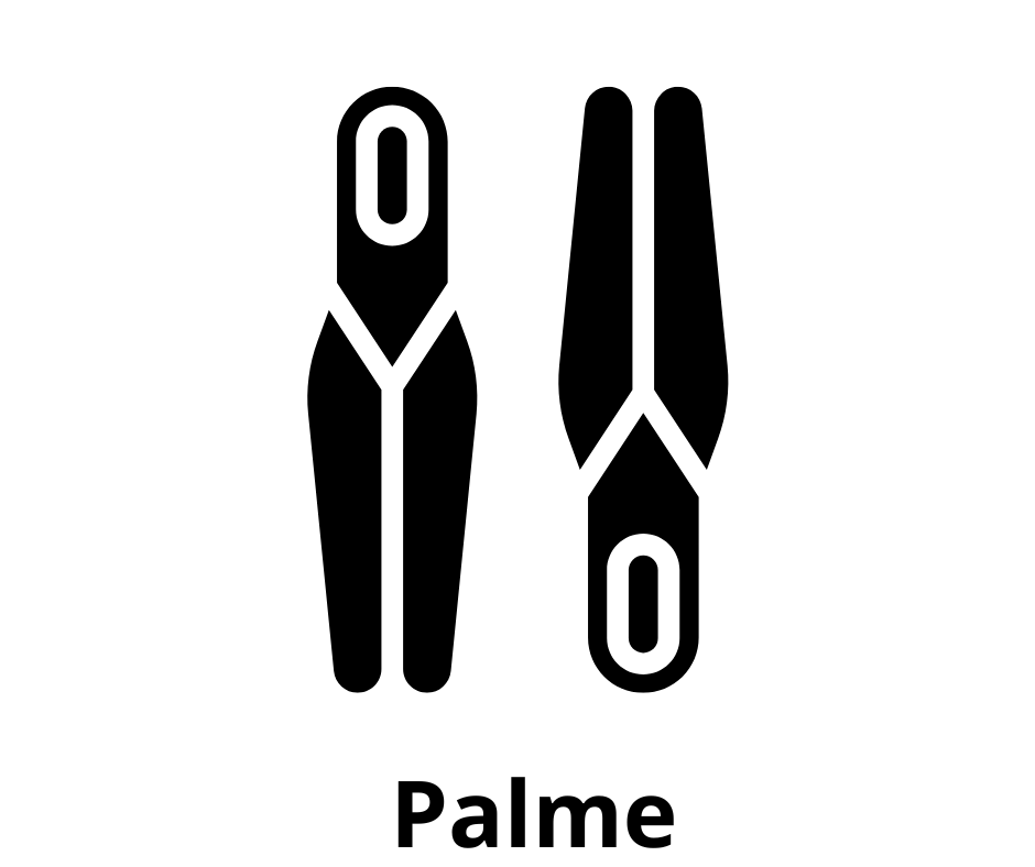 Palme