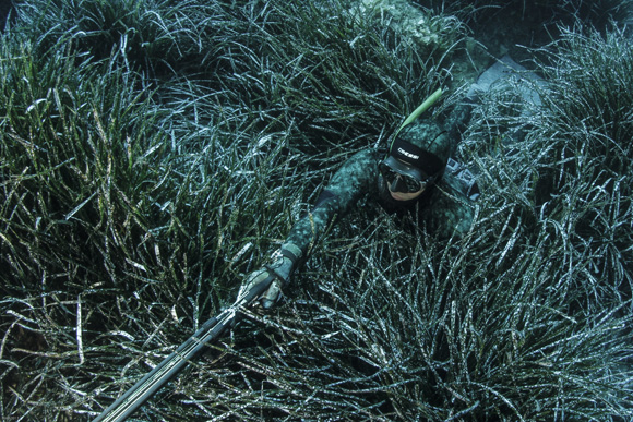 La chasse à l’agachon