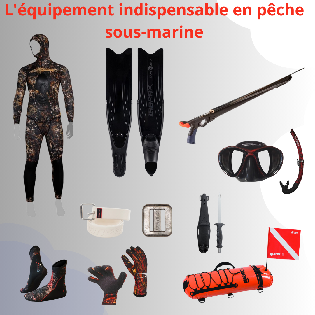 L'équipement indispensable en chasse sous-marine